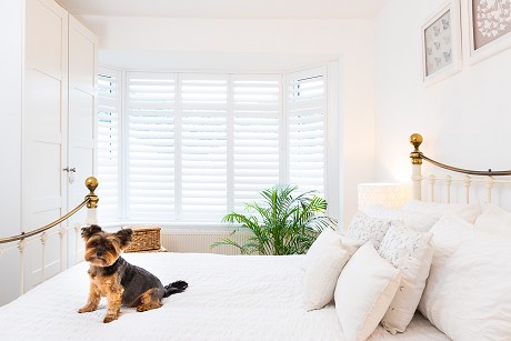 Just Shutters Franchise Ltd: Product image 3