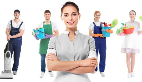 Homeclean Franchise: Product image 3