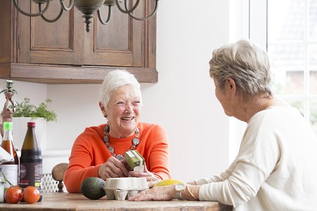 Seniors Helping Seniors: Product image 1