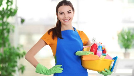 Homeclean Franchise: Product image 2